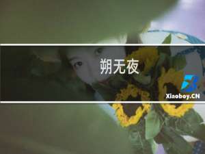 朔无夜(关于朔无夜的简介)