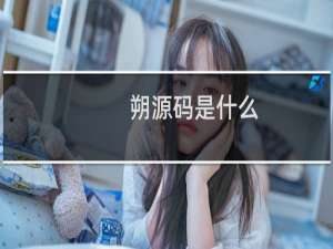朔源码是什么