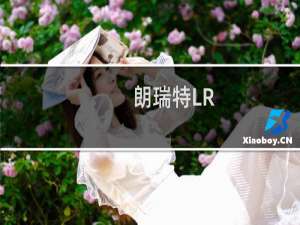 朗瑞特LR-2618(关于朗瑞特LR-2618的简介)