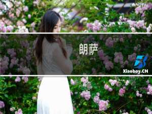 朗萨(关于朗萨的简介)