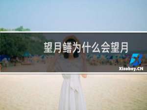 望月鳝为什么会望月（望月鳝为什么有剧毒）