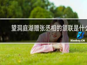 望洞庭湖赠张丞相的颔联是什么