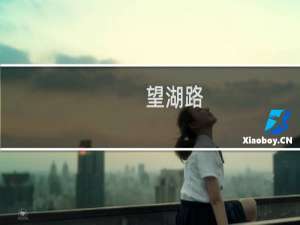 望湖路(关于望湖路的简介)