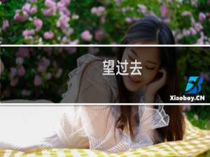 望过去(关于望过去的简介)