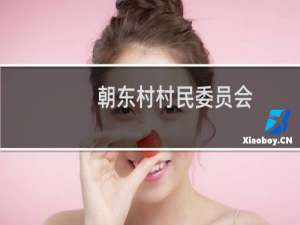 朝东村村民委员会(关于朝东村村民委员会的简介)