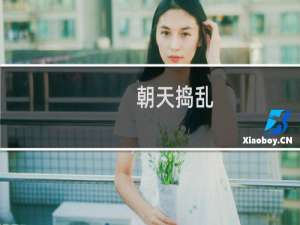 朝天捣乱(关于朝天捣乱的简介)