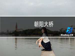 朝阳大桥(关于朝阳大桥的简介)