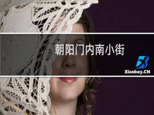 朝阳门内南小街(关于朝阳门内南小街的简介)