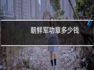 朝鲜军功章多少钱
