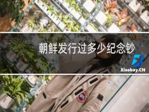 朝鲜发行过多少纪念钞