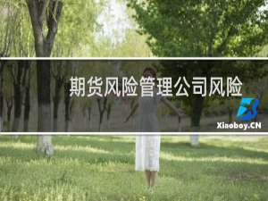 期货风险管理公司风险控制指标管理办法(关于期货风险管理公司风险控制指标管理办法的简介)