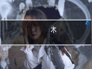 木[质]素(关于木[质]素的简介)