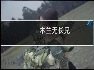 木兰无长兄-4(关于木兰无长兄-4的简介)