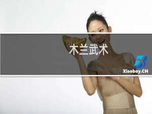 木兰武术(关于木兰武术的简介)