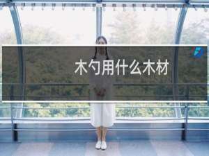 木勺用什么木材