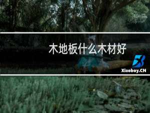 木地板什么木材好