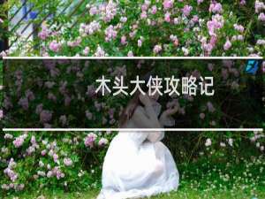 木头大侠攻略记