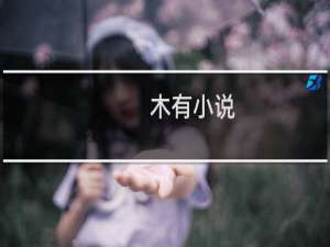 木有小说(关于木有小说的简介)