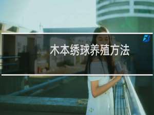 木本绣球养殖方法
