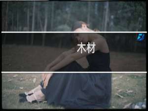 木材(酸枝)价格