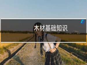 木材基础知识