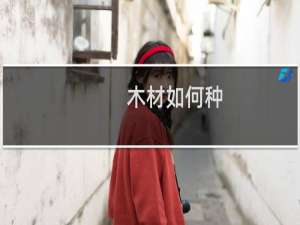 木材如何种