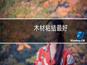木材粘结最好