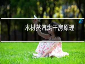 木材蒸汽烘干房原理