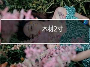 木材2寸