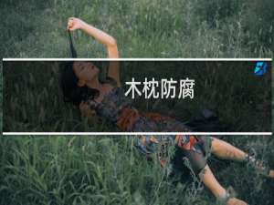 木枕防腐(关于木枕防腐的简介)