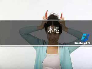 木柶(关于木柶的简介)