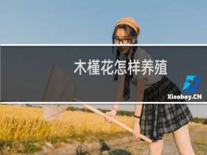 木槿花怎样养殖