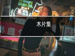 木片集(关于木片集的简介)