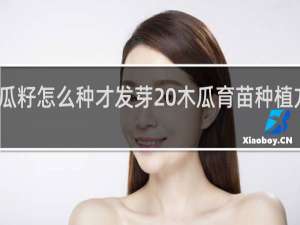 木瓜籽怎么种才发芽 木瓜育苗种植方法分享