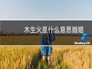 木生火是什么意思婚姻