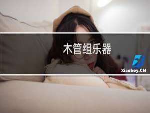木管组乐器