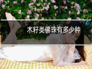 木籽类佛珠有多少种
