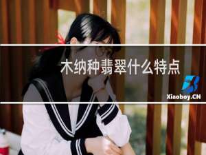 木纳种翡翠什么特点