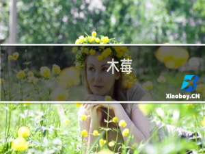 木莓(关于木莓的简介)