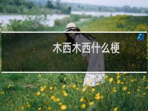 木西木西什么梗