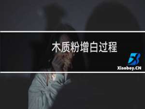 木质粉增白过程（增白粉）