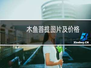 木鱼菩提图片及价格