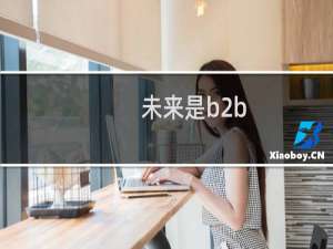 未来是b2b