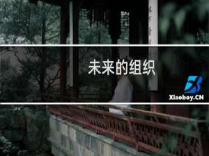 未来的组织(关于未来的组织的简介)