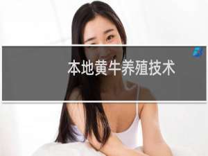 本地黄牛养殖技术