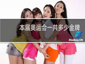 本届奥运会一共多少金牌