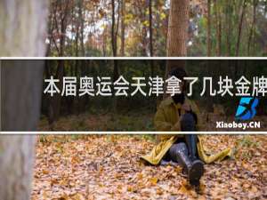 本届奥运会天津拿了几块金牌