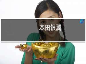 本田银翼(关于本田银翼的简介)