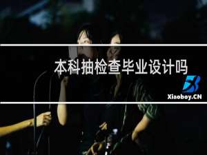 本科抽检查毕业设计吗