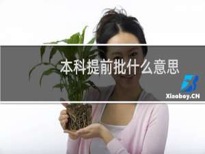 本科提前批什么意思